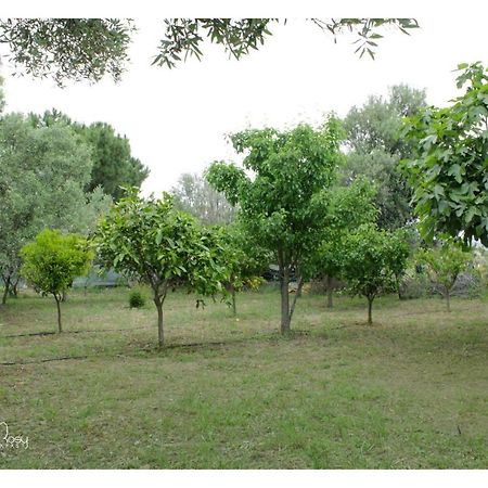 Vila Il Giardino Di Rosy Su Forti Exteriér fotografie